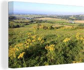 Canvas Schilderij Geel struikgewas op het landschap van het Nationaal park South Downs - 90x60 cm - Wanddecoratie