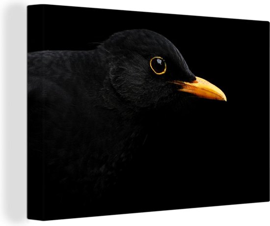 Canvas Schilderij Zwarte merel op een donkere achtergrond - 60x40 cm - Wanddecoratie