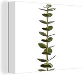 Canvas Schilderij Eucalyptusstam met bladeren - 40x30 cm - Wanddecoratie