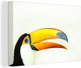 Une illustration de la tête d'un toucan sur toile 180x120 cm - Tirage photo sur toile (Décoration murale salon / chambre) XXL / Groot format!
