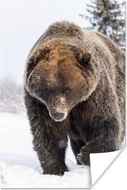 Bruine beer in de sneeuw Poster 120x180 cm - Foto print op Poster (wanddecoratie woonkamer / slaapkamer) / Wilde dieren Poster XXL / Groot formaat!