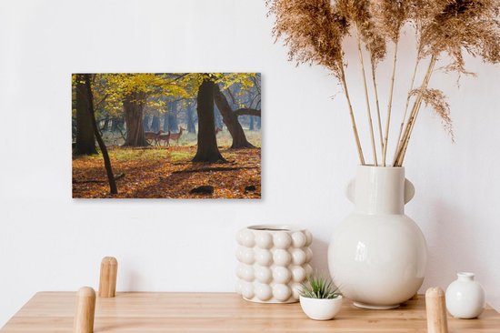 Cerf dans une forêt au Danemark toile 2cm 30x20 cm - petit - Tirage photo sur toile (Décoration murale salon / chambre)