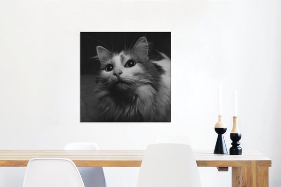 Tableau sur toile Profil animal chat en noir et blanc - 50x50 cm - Décoration murale