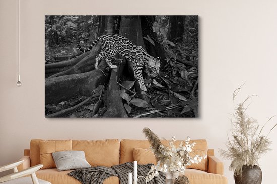 Peintures sur toile - Ocelot dans la jungle du Costa Rica en noir et blanc - 150x100 cm - Décoration murale