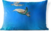 Buitenkussens - Tuin - Schildpad zwemmend in oceaan - 50x30 cm