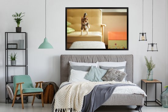Photo encadrée - Chat sautant du canapé cadre photo noir sans passe partout 120x80 cm - Affiche encadrée (Décoration murale salon / chambre)