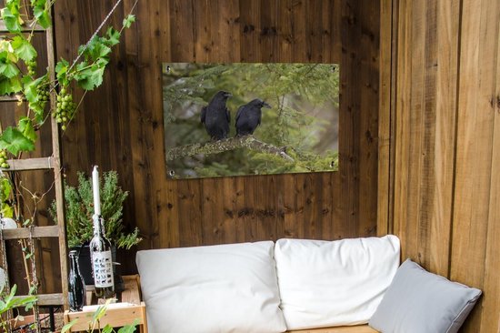 Deux corbeaux noirs sont assis ensemble sur une branche Affiche de jardin 90x60 cm - Toile de jardin / Toile d'extérieur / Peintures d'extérieur (décoration de jardin)