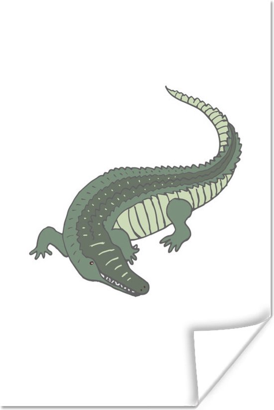 Poster Alligator - Kinderen - Kids - Jongens - Meisjes - 20x30 cm