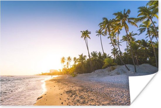 Poster Palmbomen op het strand tijdens de zonsopkomst - 30x20 cm