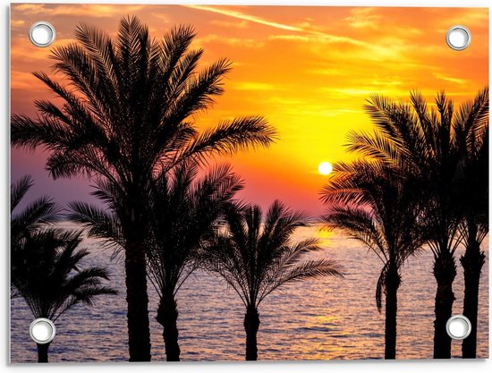 Tuinposter – Zon verdwijnend in de Zee achter Palmbomen - 40x30cm Foto op Tuinposter  (wanddecoratie voor buiten en binnen)