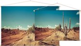 Cactus in de woestijn,  - Foto op Textielposter - 120 x 80 cm