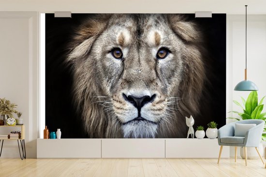 Papier peint - Papier peint photo Lion - Portrait - Sauvage - Largeur 420 cm x hauteur 280 cm