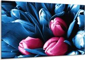 Peinture sur verre tulipe | Rose, Bleu | 120x70cm 1Hatch | Tirage photo sur verre |  F003829