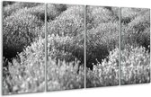 GroepArt - Glasschilderij - Bloemen - Grijs, Zwart - 160x80cm 4Luik - Foto Op Glas - Geen Acrylglas Schilderij - 6000+ Glasschilderijen Collectie - Wanddecoratie