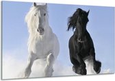 Glasschilderij Paarden - Wit, Zwart, Blauw - 120x70cm 1Luik - Foto Op Glas - Geen Acrylglas Schilderij - GroepArt 6000+ Glasschilderijen Art Collectie - Wanddecoratie - Woonkamer - Slaapkamer