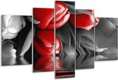 Glasschilderij Tulpen - Rood, Grijs, Zwart - 170x100cm 5Luik - Foto Op Glas - Geen Acrylglas Schilderij - 6000+ Glasschilderijen Collectie - Wanddecoratie