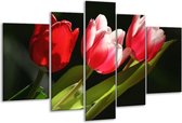 Glasschilderij Tulpen - Rood, Wit, Groen - 170x100cm 5Luik - Foto Op Glas - Geen Acrylglas Schilderij - 6000+ Glasschilderijen Collectie - Wanddecoratie