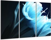 GroepArt - Schilderij -  Tulp - Blauw, Zwart - 120x80cm 3Luik - 6000+ Schilderijen 0p Canvas Art Collectie
