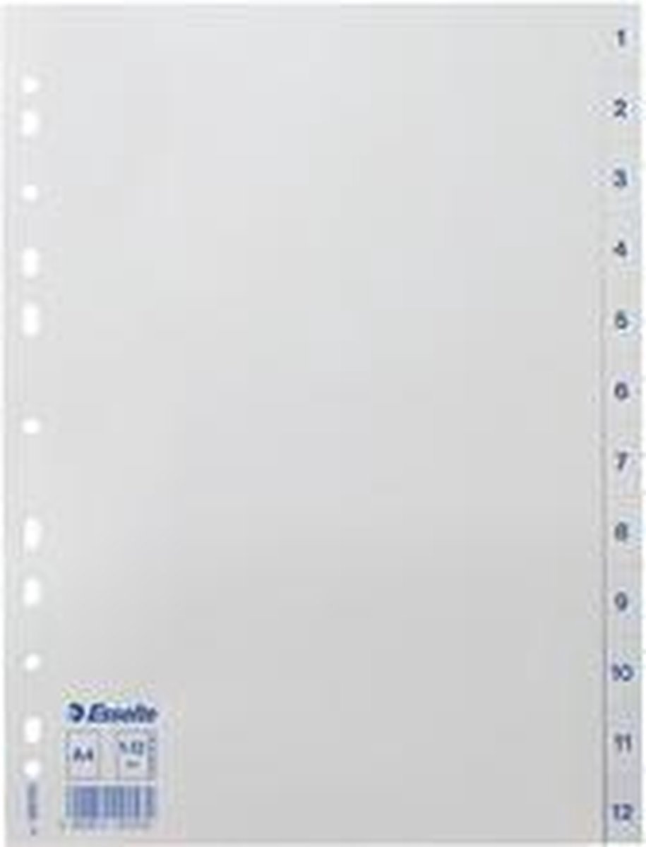 Esselte plastic register, nummers, A4, 1-31, grijs