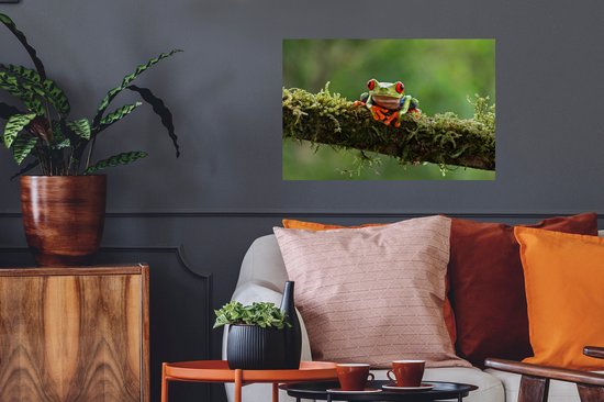 Stickers Stickers muraux - Grenouille aux yeux rouges sur une branche couverte - 60x40 cm - Film adhésif