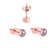 Aramat jewels ® - Oorbellen 5mm rosékleurig zweerknopjes rond chirurgisch staal transparant