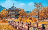 Het Gyeongbokgung paleis tijdens de herfst in Seoul - Foto op Forex - 120 x 80 cm