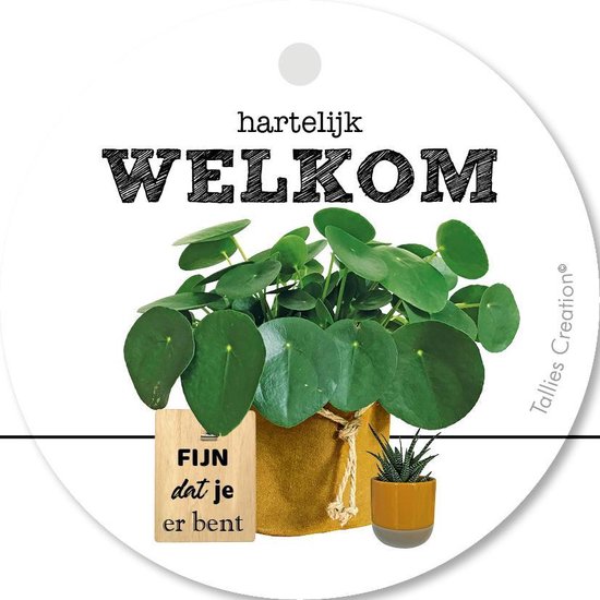 Tallies Cards - kadokaartjes  - bloemenkaartjes - Welkom - Plant - set van 5 kaarten - welkom thuis - 100% Duurzaam