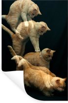 Muurstickers - Sticker Folie - Springende kat - 20x30 cm - Plakfolie - Muurstickers Kinderkamer - Zelfklevend Behang - Zelfklevend behangpapier - Stickerfolie