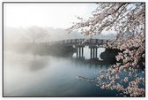 Mistige brug met kersenbloesem - Foto op Akoestisch paneel - 90 x 60 cm