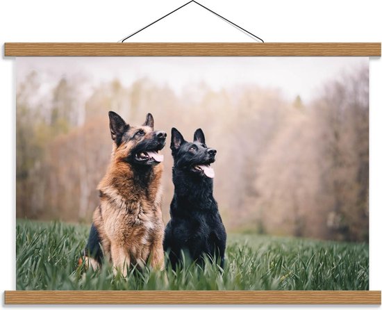 Schoolplaat – Brave Bruine en Zwarte Hond - 60x40cm Foto op Textielposter (Wanddecoratie op Schoolplaat)