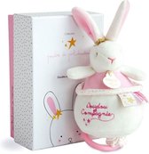 DOUDOU ET COMPAGNIE Rabbit Flowers - Muziekdoos