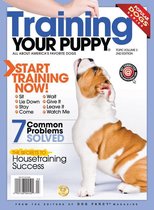 Training your Puppy