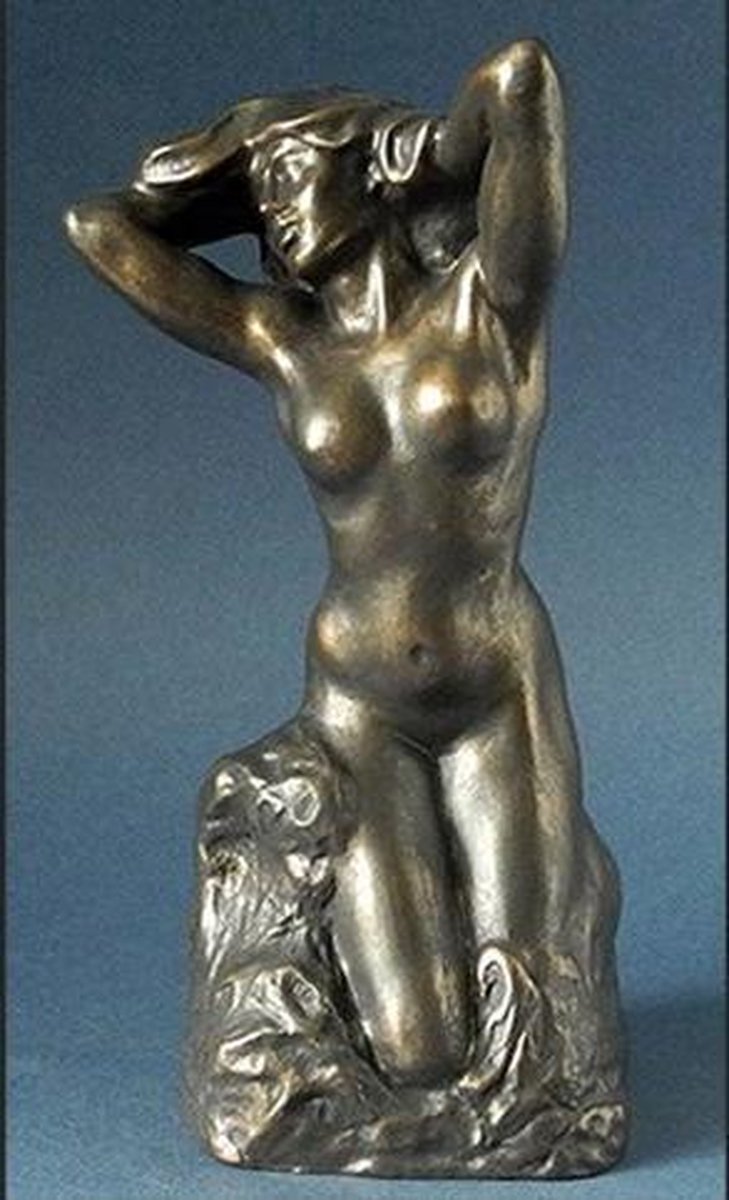 Toilette de Vénus 20 cm