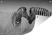 Tuindecoratie Moeder zebra en haar jong - zwart wit - 60x40 cm - Tuinposter - Tuindoek - Buitenposter