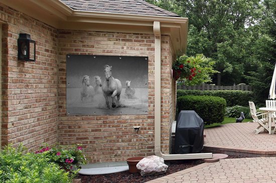 Affiche jardin - Toile jardin - Posters de jardin extérieur - Paarden - Water - Boue - 120x90 cm - Jardin