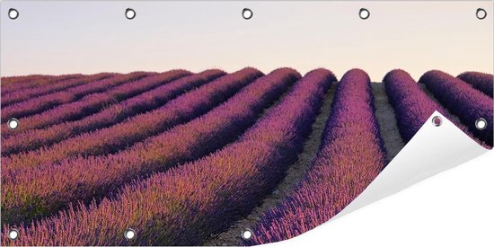 Tuinposter Lavendelveld 100 x 50 cm incl. Metalen ringen - (Buitenposter - Tuindoek - Buitencanvas - Schilderijen voor buiten - tuin decoratie)