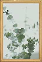 JUNIQE - Poster met houten lijst Eucalyptus Green 2 -40x60 /Groen &