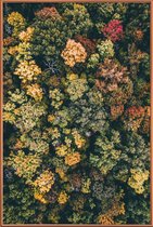 JUNIQE - Poster met kunststof lijst Herfstbomen - luchtfotografie