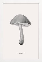 JUNIQE - Poster met houten lijst Bolete Mushroom -13x18 /Grijs & Ivoor