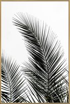 JUNIQE - Poster met kunststof lijst Palm Leaves 1 -40x60 /Kleurrijk