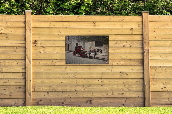 Cheval et calèche dans une rue de Saint-Domingue en République Dominicaine Affiche de jardin 90x60 cm - Toile de jardin / Toile d'extérieur / Peintures d'extérieur (décoration de jardin)