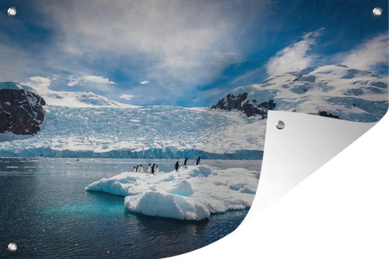 Tuinposter - Tuindoek - Tuinposters buiten - Pinguïns zijn aan het relaxen op een ijsberg bij Antarctica - 120x80 cm - Tuin