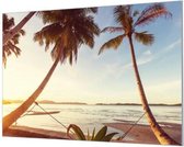 Wandpaneel Tropisch eiland palmbomen  | 150 x 100  CM | Zilver frame | Akoestisch (50mm)