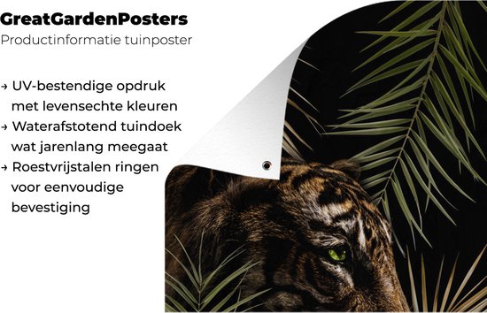 Tigre entre les branches 60x90 cm