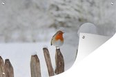 Muurdecoratie Vogel - Hek - Sneeuw - 180x120 cm - Tuinposter - Tuindoek - Buitenposter