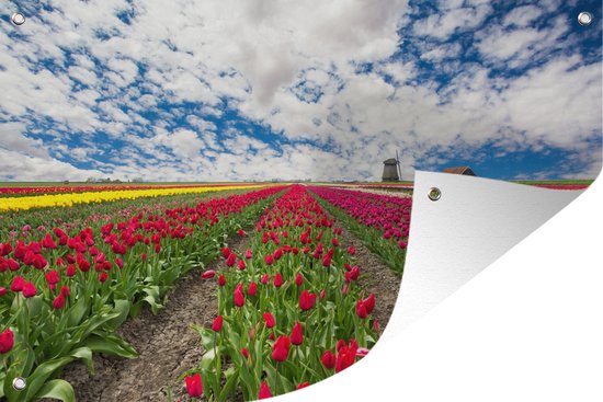 Tuindecoratie Een rij van rode tulpen - 60x40 cm - Tuinposter - Tuindoek - Buitenposter