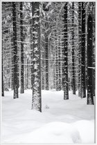 JUNIQE - Poster met kunststof lijst Deep Dark White Forest -20x30