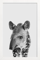 JUNIQE - Poster met houten lijst Tapir Classic -13x18 /Wit & Zwart