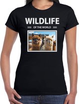 Dieren foto t-shirt Alpaca - zwart - dames - wildlife of the world - cadeau shirt Alpaca's liefhebber L