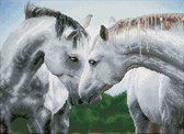 DQK10.012 Diamond Dotz® - Hobby Pakket - Diamond painting volwassenen - Diamond painting met lijst - Witte knuffelende paarden 38 x 52cm - Vierkante steentjes - Diamond painting pa